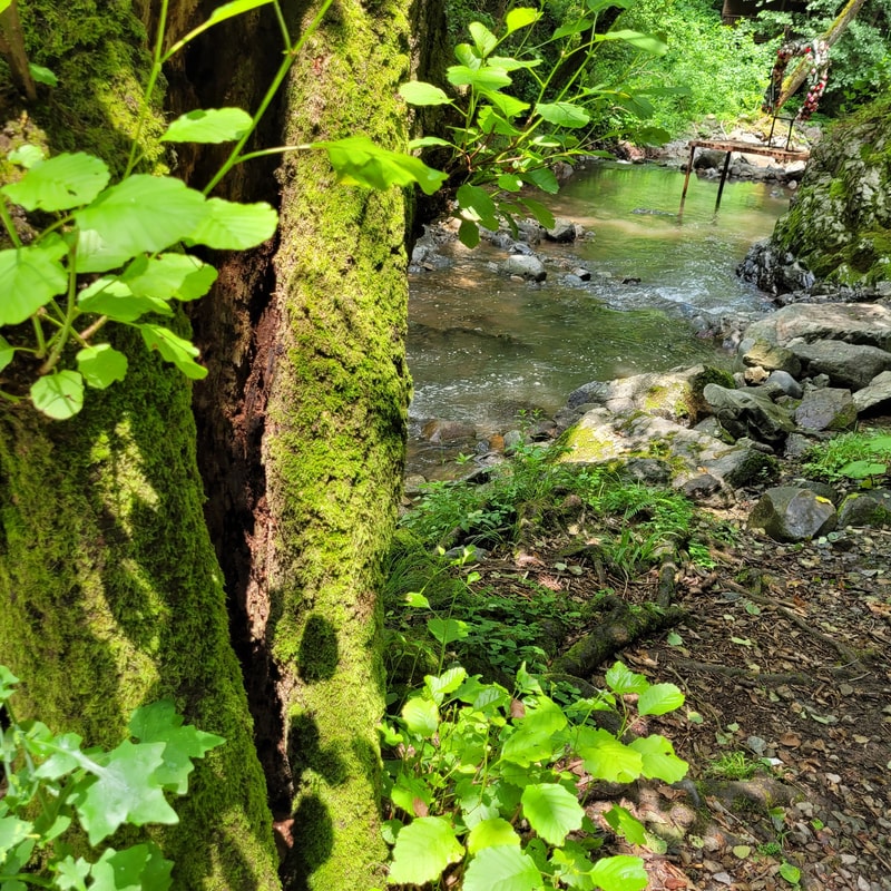 Madre Natura — nature and daily life, Istanbul 2023