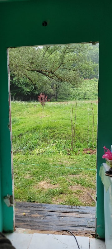 Madre Natura — nature and daily life, Istanbul 2023